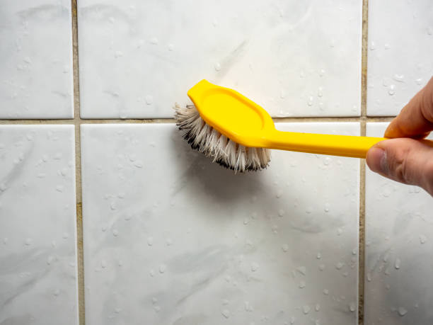 Best Mold Removal Company Near Me  in Brodhead, KY