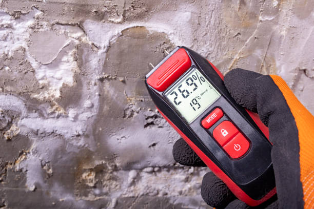 Best Mold Removal Process  in Brodhead, KY