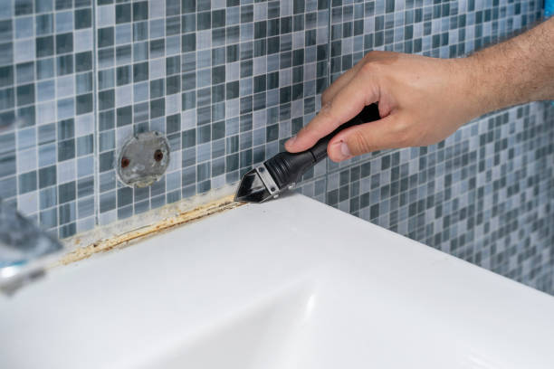 Best Professional Mold Removal  in Brodhead, KY